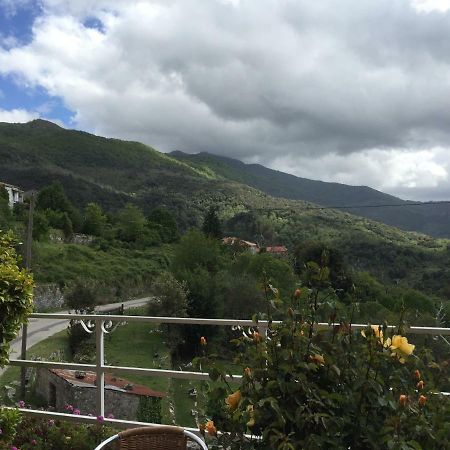 Hotel Du Tourisme Zicavo Εξωτερικό φωτογραφία