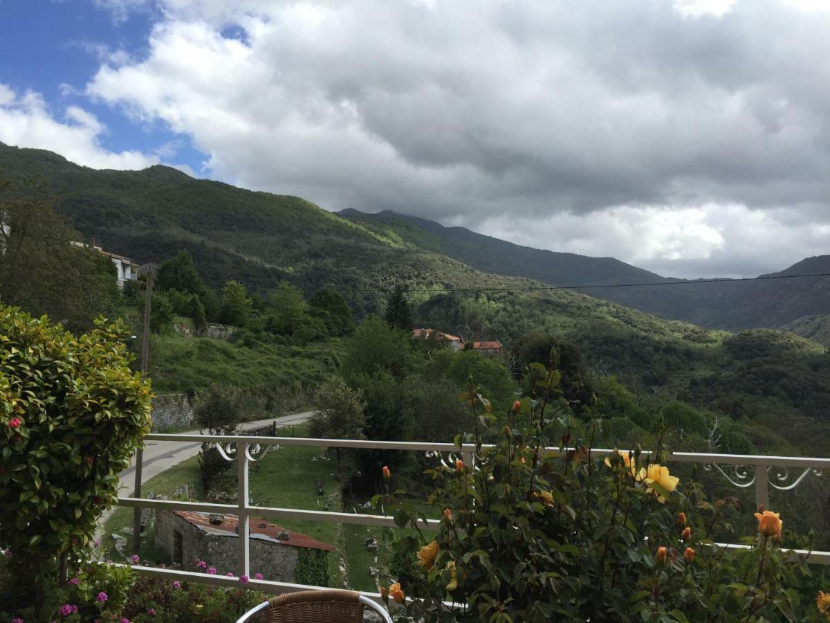 Hotel Du Tourisme Zicavo Εξωτερικό φωτογραφία
