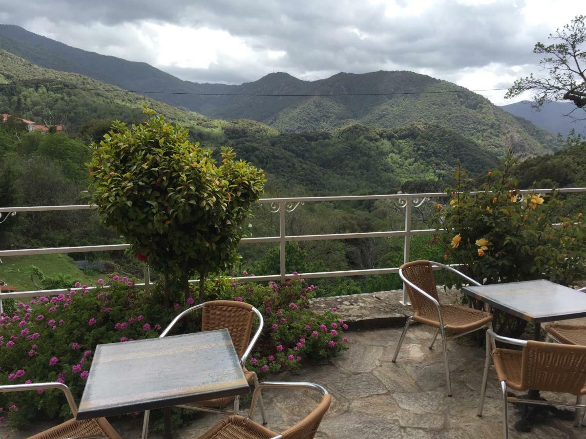 Hotel Du Tourisme Zicavo Εξωτερικό φωτογραφία