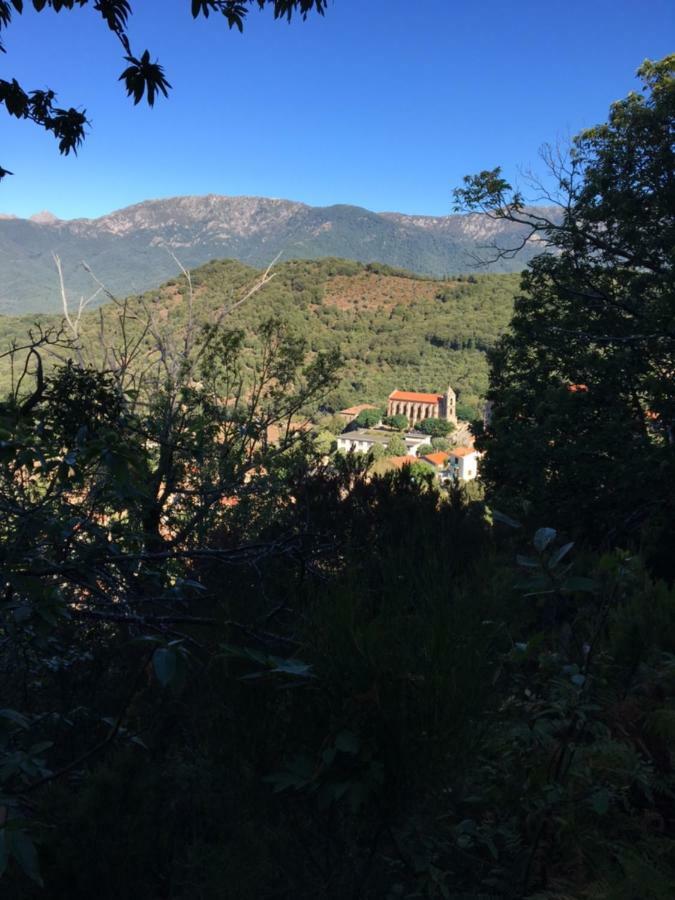 Hotel Du Tourisme Zicavo Εξωτερικό φωτογραφία