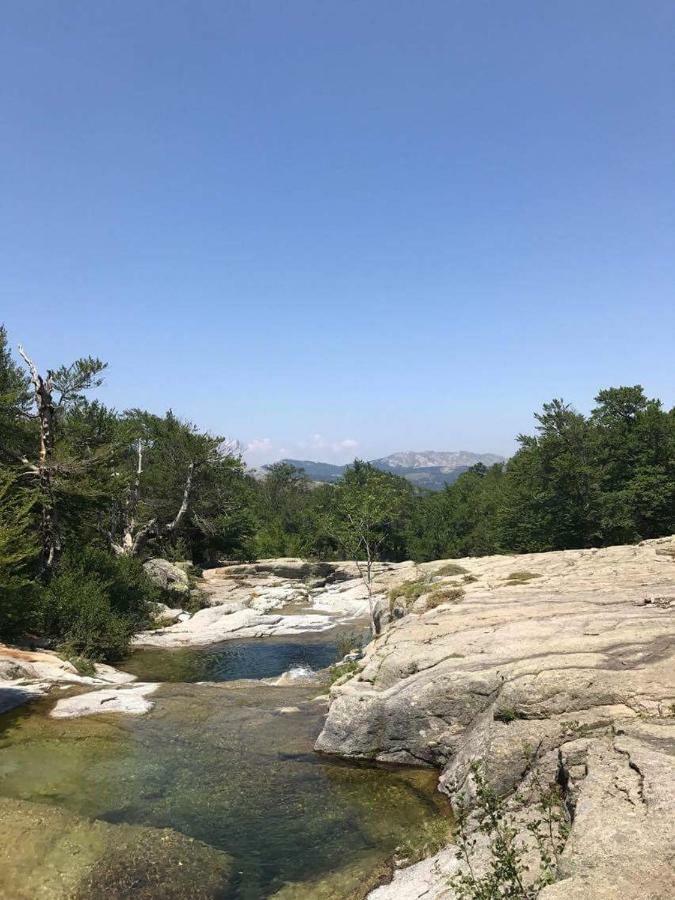 Hotel Du Tourisme Zicavo Εξωτερικό φωτογραφία
