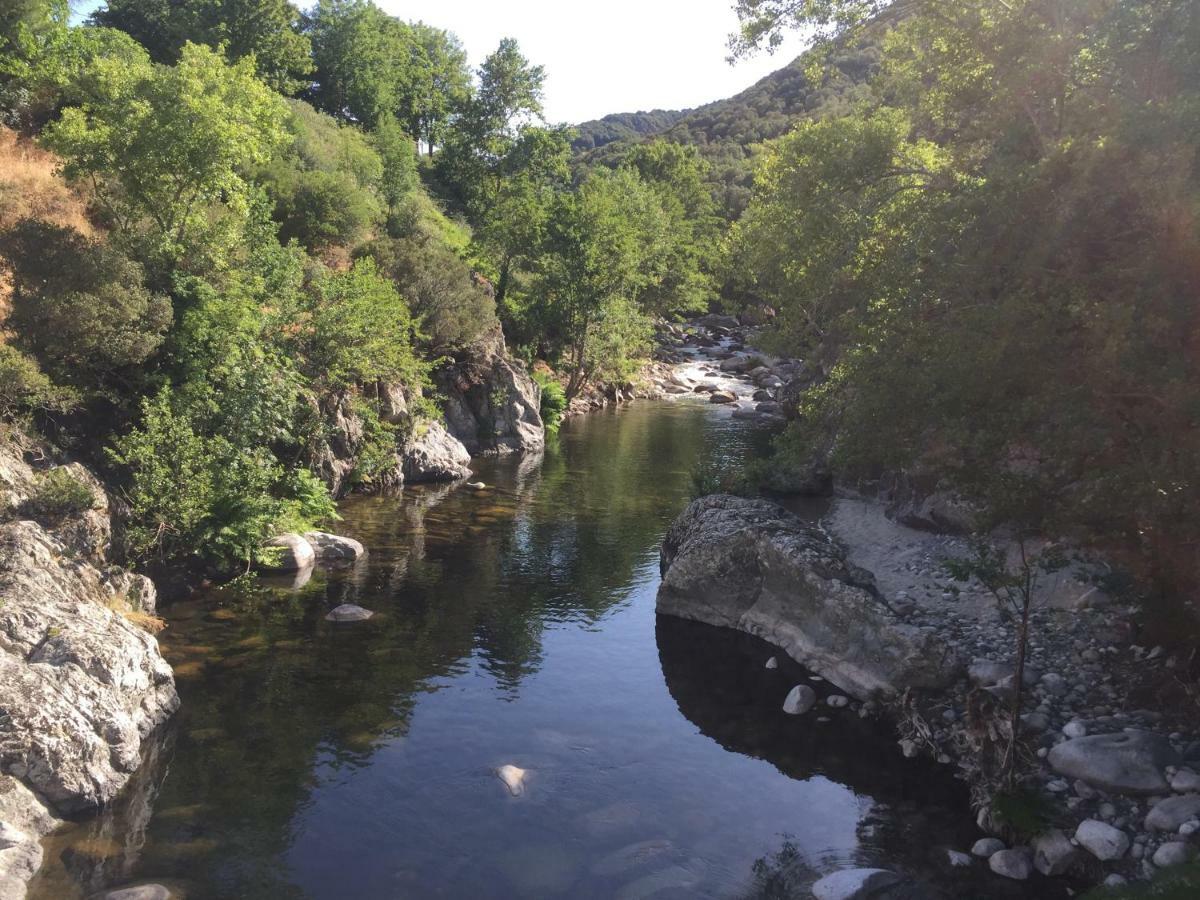 Hotel Du Tourisme Zicavo Εξωτερικό φωτογραφία
