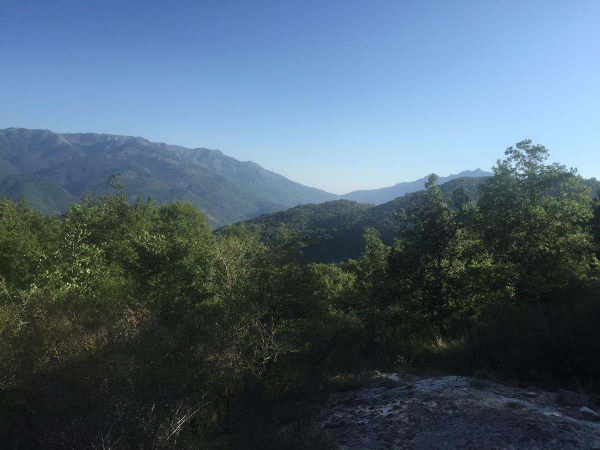 Hotel Du Tourisme Zicavo Εξωτερικό φωτογραφία